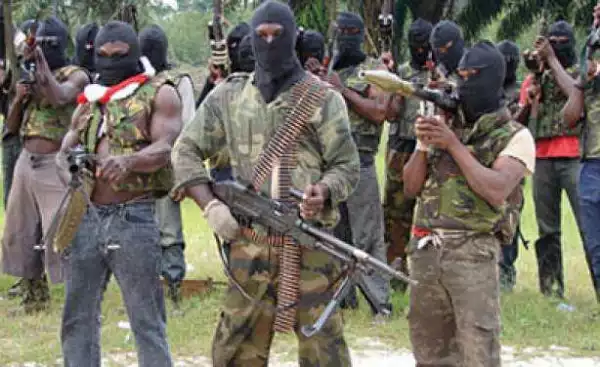 Niger Delta leaders who met Buhari are vultures, dead wood – MEND